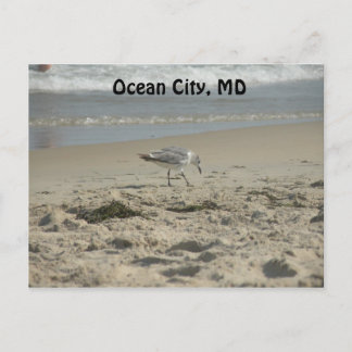 Ocean City, tarjeta postal MD