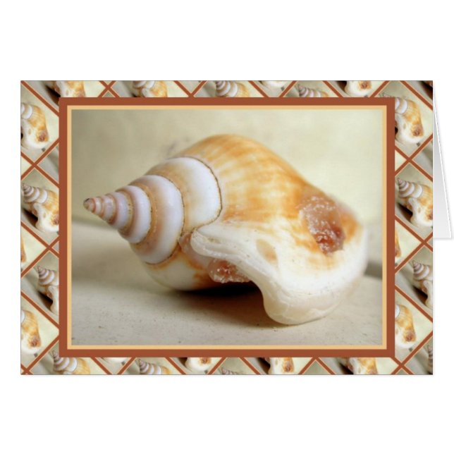 Ocean Jewelry (Anverso (Horizontal))