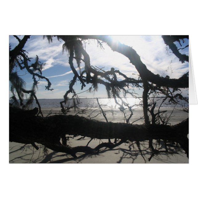 Ocean Sunset (Anverso (Horizontal))