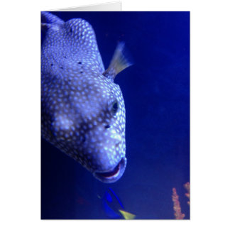 Oceano