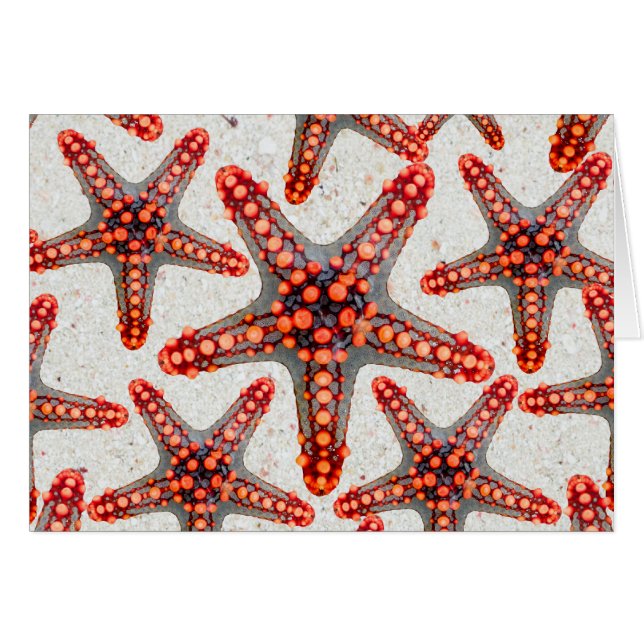 Océano rojo vibrante hermoso Sealife de la arena (Anverso (Horizontal))