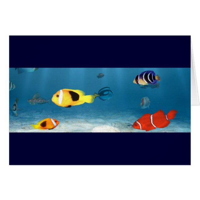 Océanos de pescados (Anverso (Horizontal))