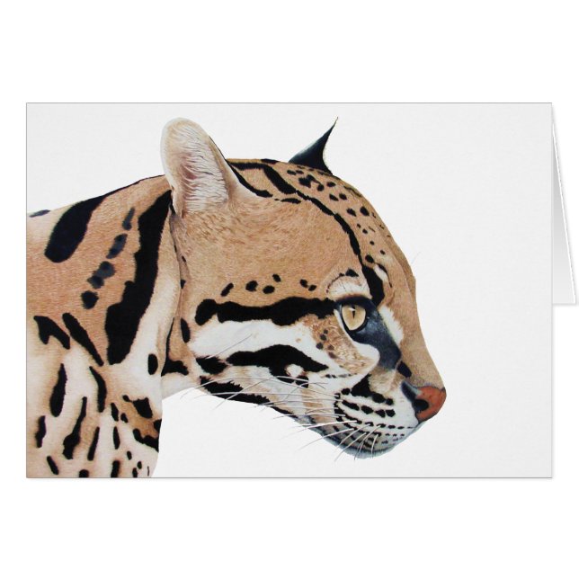 Ocelot (Anverso (Horizontal))