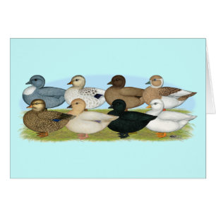 Ocho Ducks de llamadas