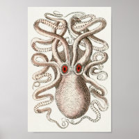 Octopus Red Eye Cephalopod Criaturas del mar Arte 