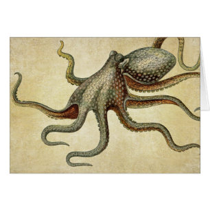 Octopus vintage Vida Náutica