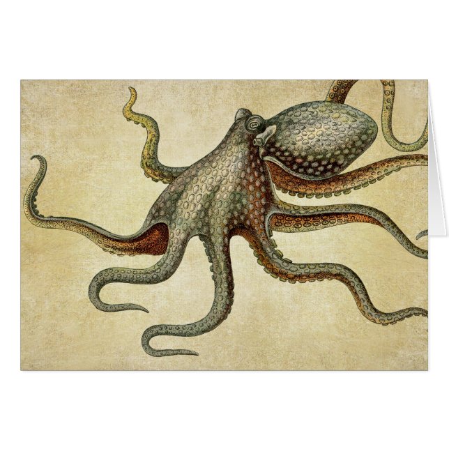 Octopus vintage Vida Náutica (Anverso (Horizontal))