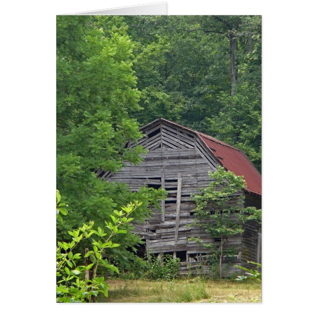 Ocultación (Frente)