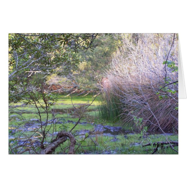 Ocultar y buscar (Anverso (Horizontal))