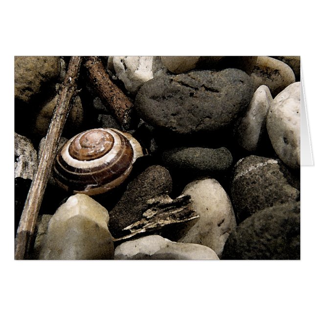 Ocultar y buscar (Anverso (Horizontal))