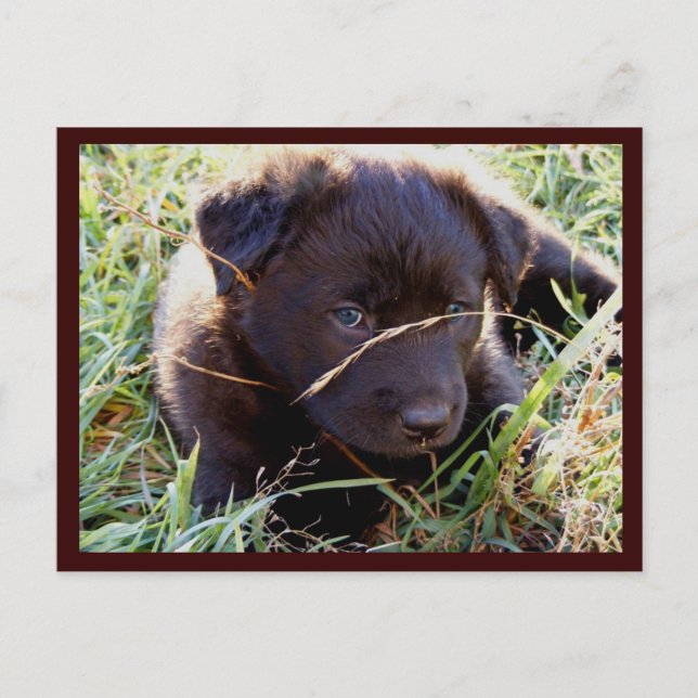 Ocultar y buscar postales (Anverso)