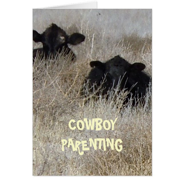 Oculte y vaya búsqueda - Parenting del vaquero (Frente)