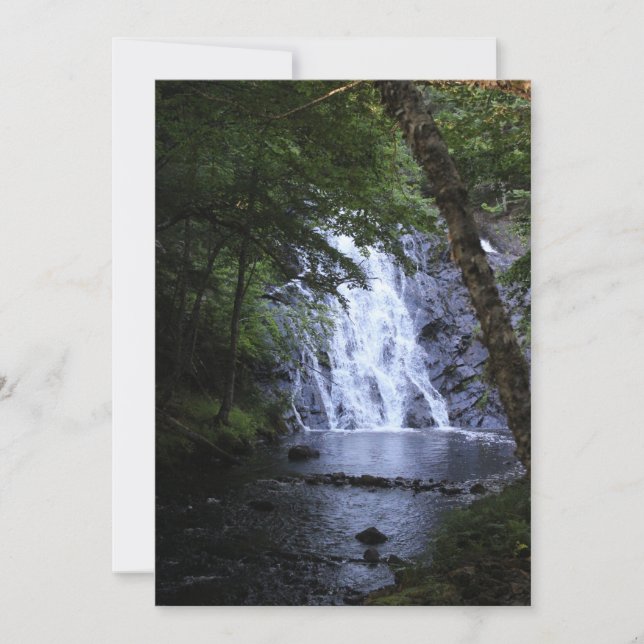 Ocultos a través de los árboles (Anverso)