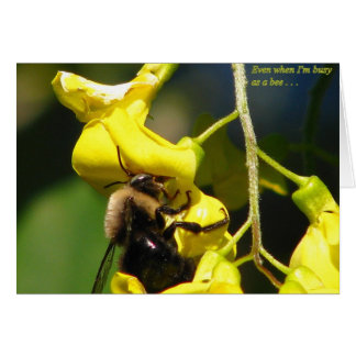Ocupado como abeja