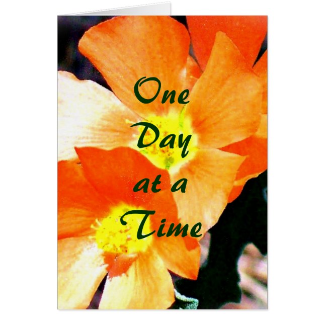 ODAT "Just a Weed" (Frente)