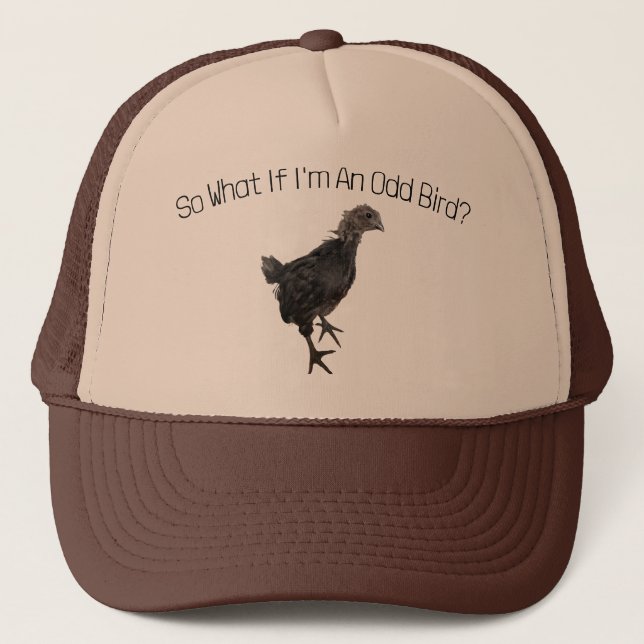 Odd Bird Gorra (Anverso)