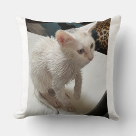 ¡Odio a la gente! Almohada de lanzamiento de gato
