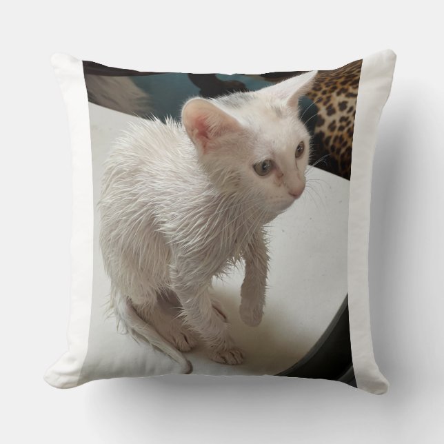 ¡Odio a la gente! Almohada de lanzamiento de gato (Anverso)