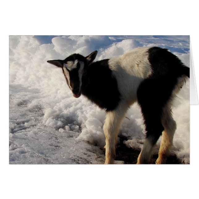 Odio a Winter. Aquí está la Primavera Esperando qu (Anverso (Horizontal))