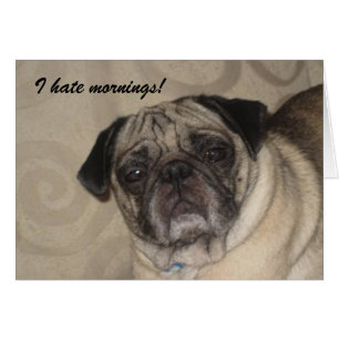 ¡Odio la tarjeta de las mañanas!