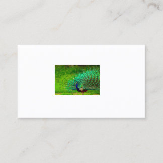 Office & School > Tarjetas de visita