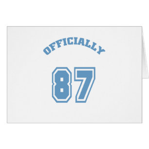 Oficial 87