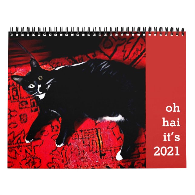 Oh Calendario de gatos Hai (Tapa)