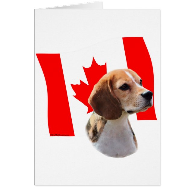 Oh, Canadá...y Beagles. (Frente)