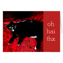 Oh Hai Gracias Personalizable Tarjeta