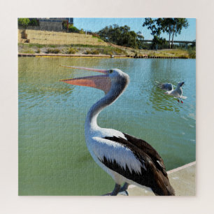 Oh Im A Happy Pelican Tra Lah, rompecabezas