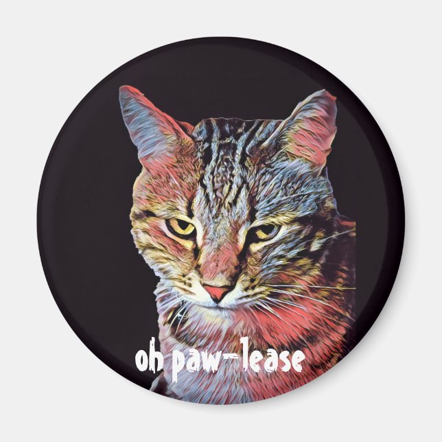 Oh Imán Gato Paw-Lease (Frente)
