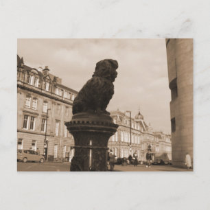 Oh Maestro, ¿dónde estás? Postal