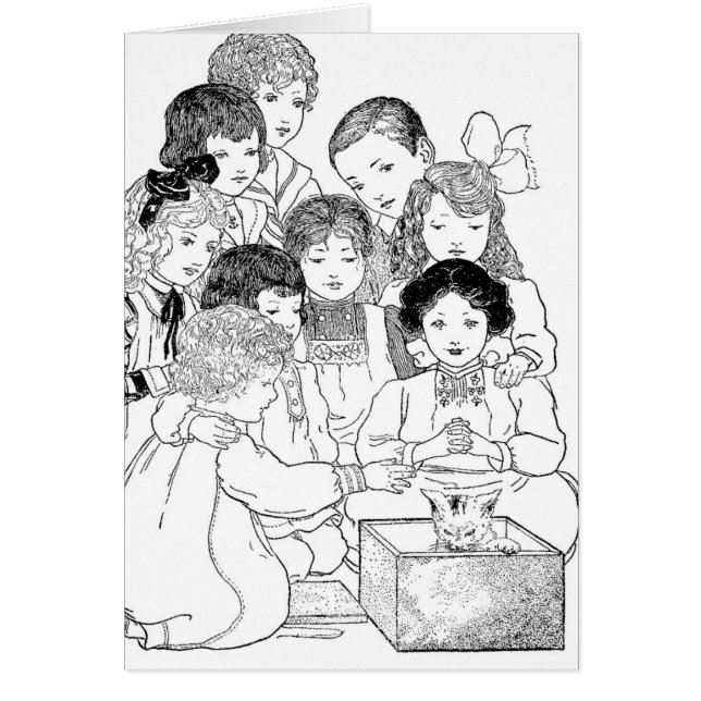 Oh Mira, Gatitos (Frente)