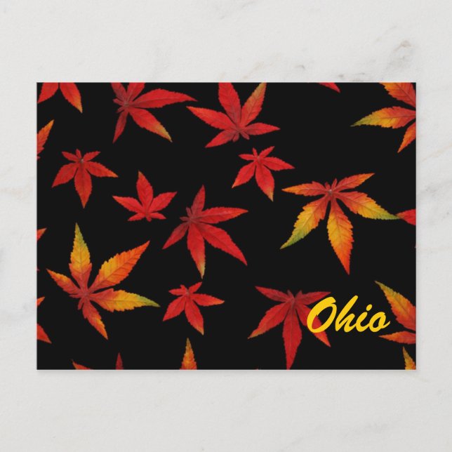 Ohio Autumn deja la postal (Anverso)