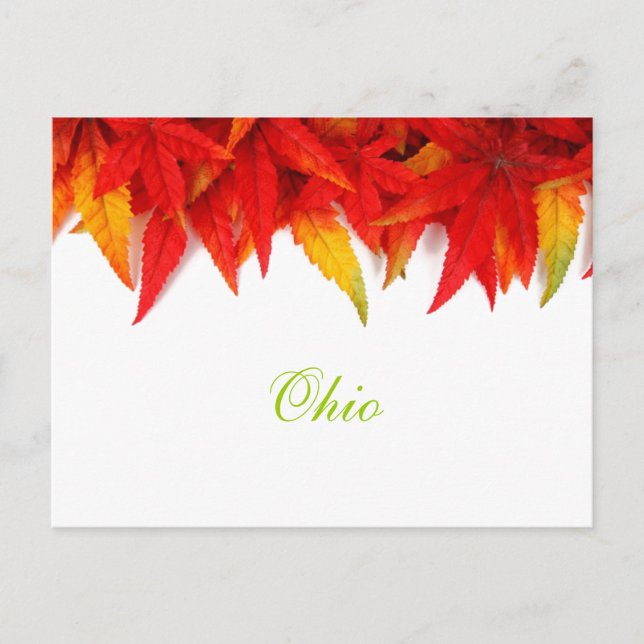 Ohio Autumn deja la postal (Anverso)
