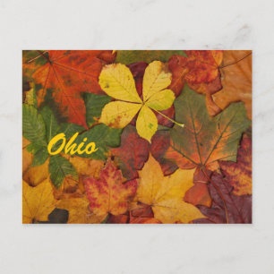 Ohio Autumn deja la postal