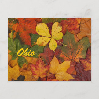 Ohio Autumn deja la postal