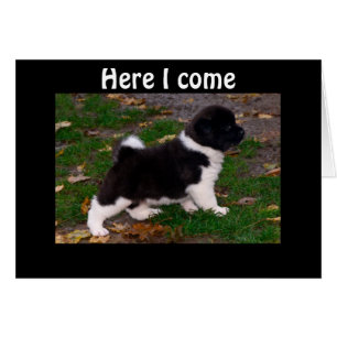 OÍDO QUE TIENES UNA PIERNA BOO