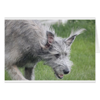 oídos en movimiento