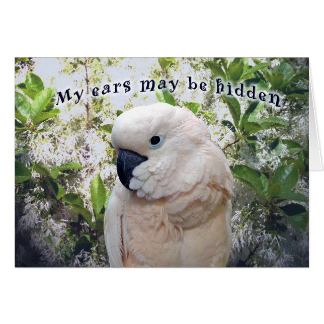 Oídos ocultados (Anverso (Horizontal))