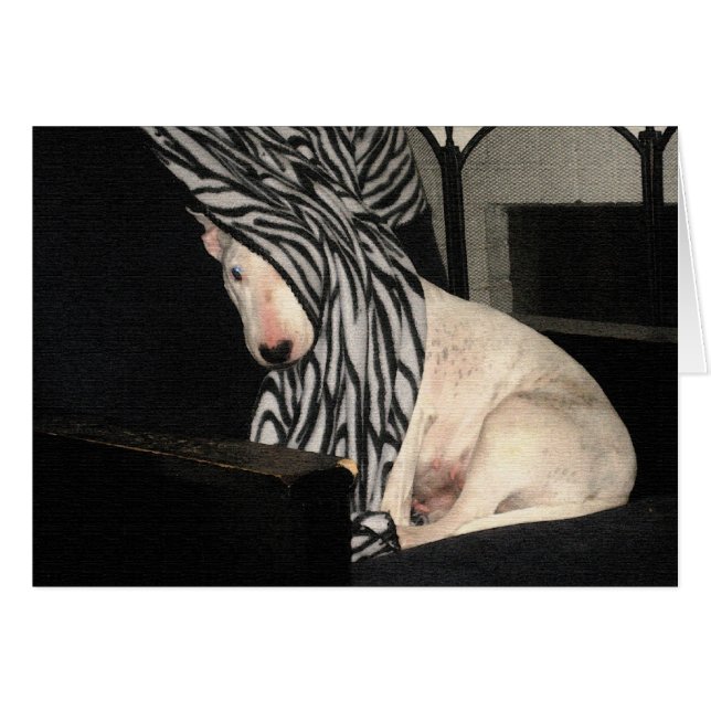 Ojeada-uno-Matón (Anverso (Horizontal))