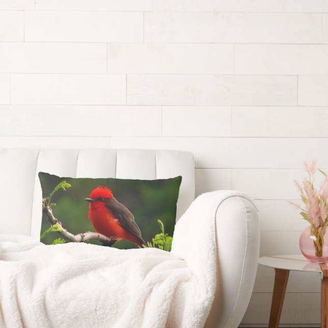 Ojo a la almohada lumbar ocular (Sofá)