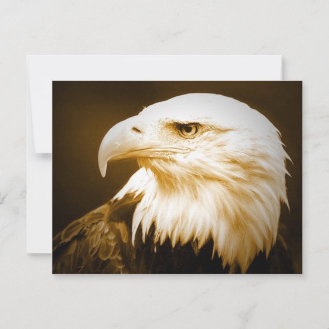 Ojo de Águila Baldosa Americana (Anverso)