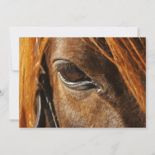 Ojo de caballo