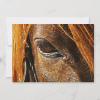 Ojo de caballo
