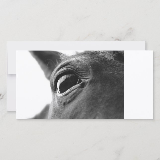 Ojo de pony 1 (Anverso)