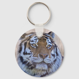 Ojo del llavero del tigre