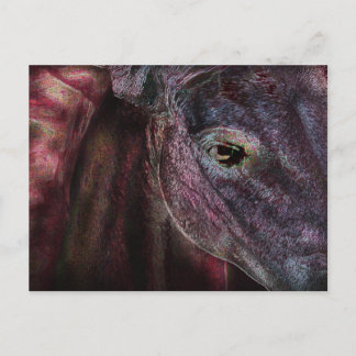 Ojo del observador - Tarjeta postal