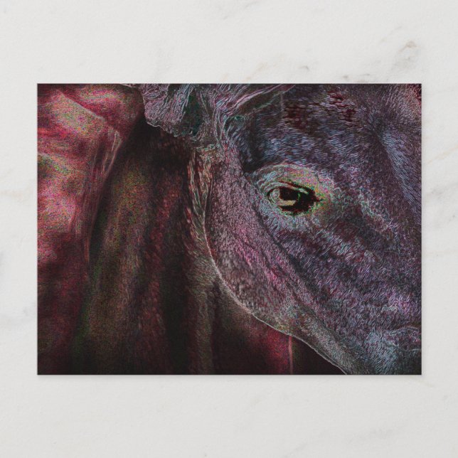 Ojo del observador - Tarjeta postal (Anverso)