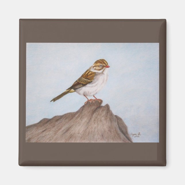 Ojo en el imán resplandeciente (Frente)